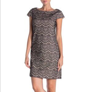 NWT Eliza J cap sleeve lace shift dress, size 6